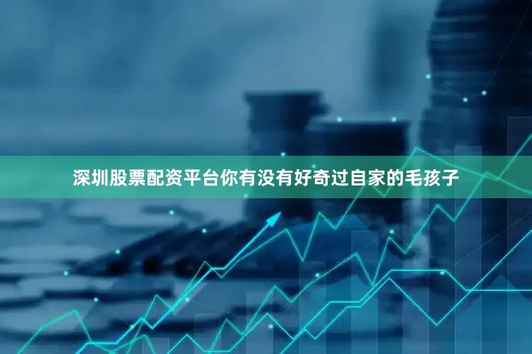 深圳股票配资平台你有没有好奇过自家的毛孩子