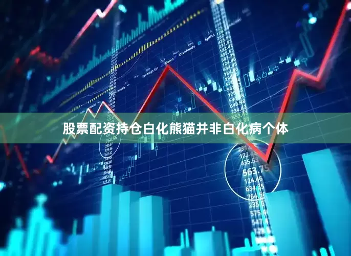 股票配资持仓白化熊猫并非白化病个体