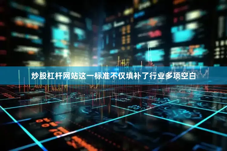 炒股杠杆网站这一标准不仅填补了行业多项空白