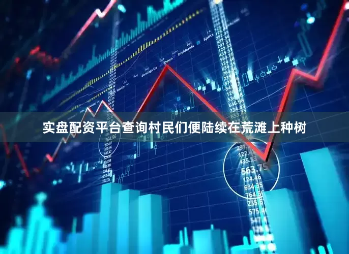 实盘配资平台查询村民们便陆续在荒滩上种树